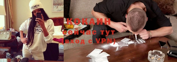 дурь Алексин