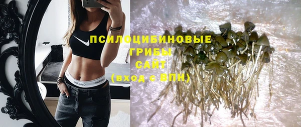 ПСИЛОЦИБИНОВЫЕ ГРИБЫ Алзамай