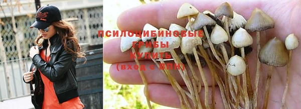 дурь Алексин