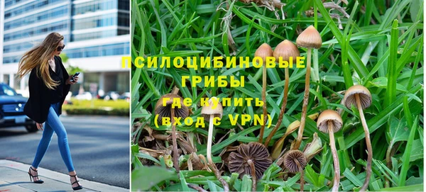 дурь Алексин