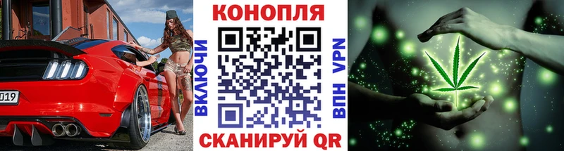 Бошки марихуана Ganja  Жиздра 